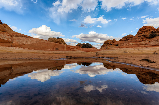 Natural pool creating colorful reflection at Coyote Buttes South in Arizona