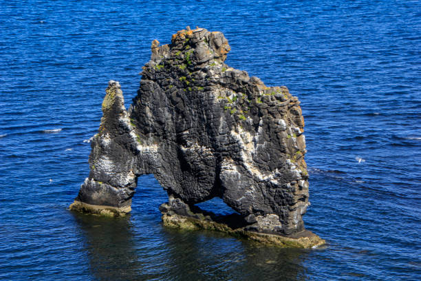istock Hvitserkur basalt stack, Vatnsnes peninsula, Northwest Iceland 1315863391