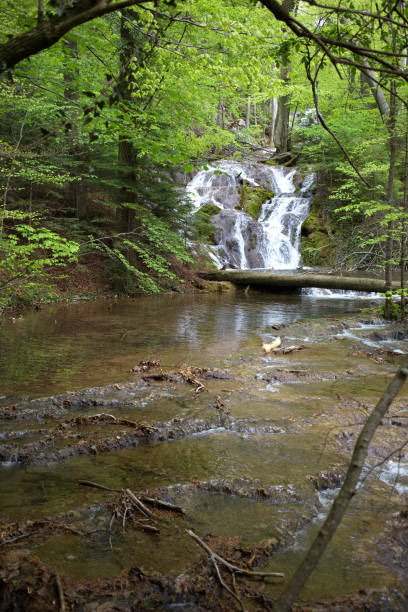istock A small waterfall and shallow transparent water of the river Nera. 1315869986