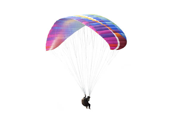 The sportsman flying on a paraglider. Beautiful paraglider in flight on a white background. The sportsman flying on a paraglider. Beautiful paraglider in flight on a white background. isolated parachuting stock pictures, royalty-free photos & images