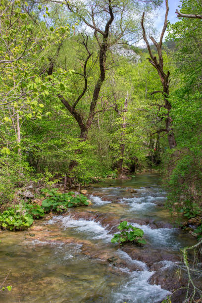 istock View of the  river Nera. 1315870360
