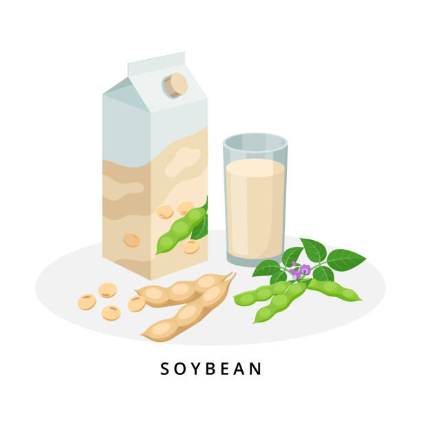 illustrazioni stock, clip art, cartoni animati e icone di tendenza di latte di soia in scatola e vetro. latte vegetale, concetto di latte vegano. illustrazione vettoriale isolata su sfondo bianco. latte e ingredienti alternativi. - soybean merchandise soy milk milk