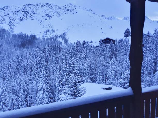istock Snow-covered fir trees 1315877039