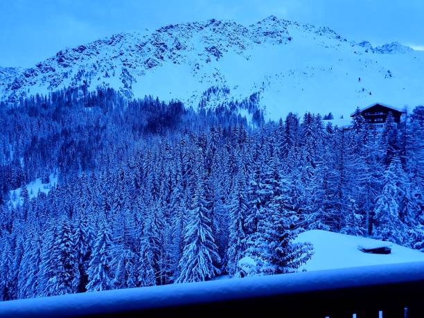 istock Snow-covered fir trees 1315877052