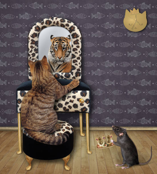 istock Cat beige sees tiger in mirror 3 1315878583