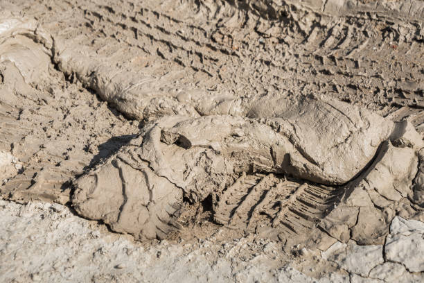 istock Wheel track on road muddy. Mud texture background. 1315881439