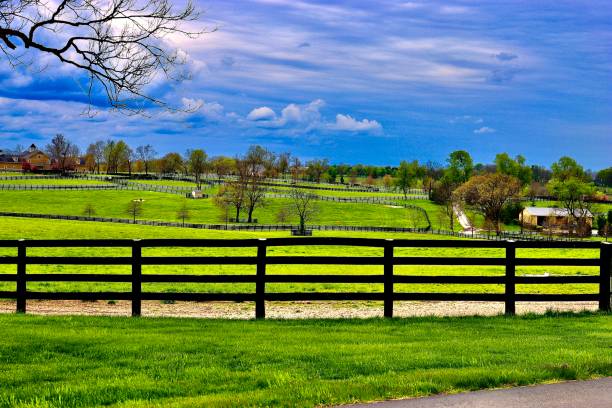 istock Kentucky Horse Farm 2 1315882768