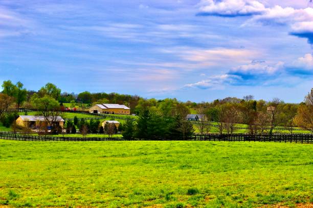 istock Lexington Kentucky Farmland 1315884455