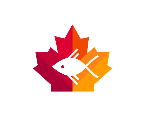 Vector illustration of Maple Fish logo design. Canadian Fish logo. Red Maple leaf with Fish vector