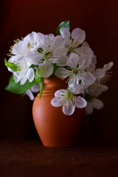 istock Spring branchs with white flowers, cherry blossoms in the vas 1315889788