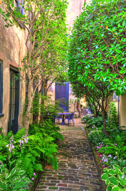 istock Beautiful Pathway between buildings-Charleston, SC 1315897870