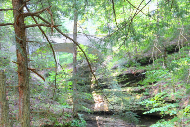 istock Bridge over a limestone canyon-Turkey Run, Indiana 1315898344