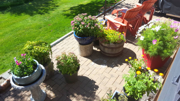 Beautiful array of Mixed perennial and annual flowers in Ceramic Pots on Patio.