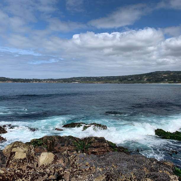 istock Carmel-by-the-sea 1315904880