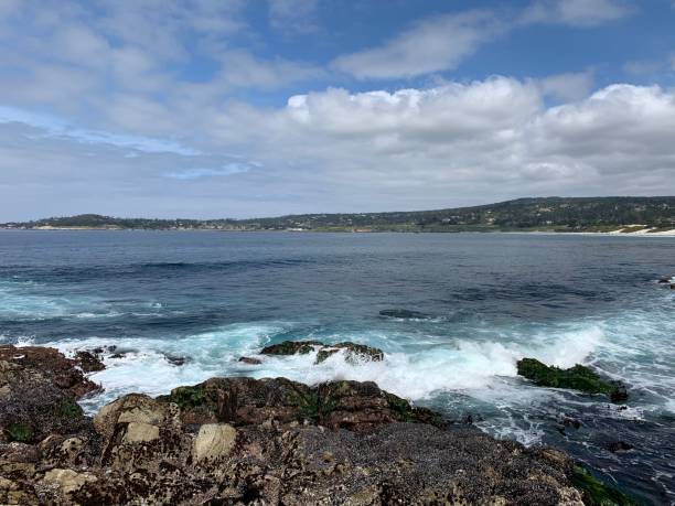 istock Carmel by the sea 1315904936