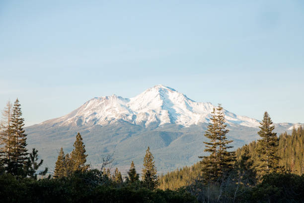 istock Mt. Shasta in the late afternoon sun. 1315906249