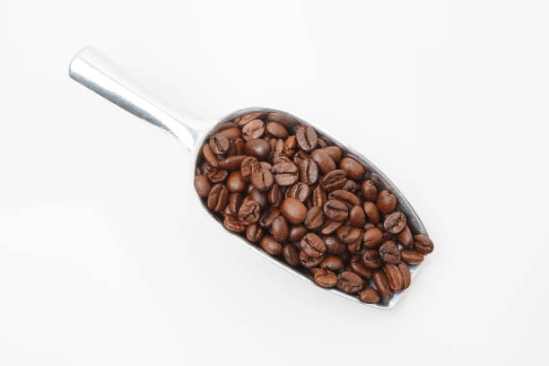 istock Dark roasted coffee beans in metal scoop on a light background. 1315910524