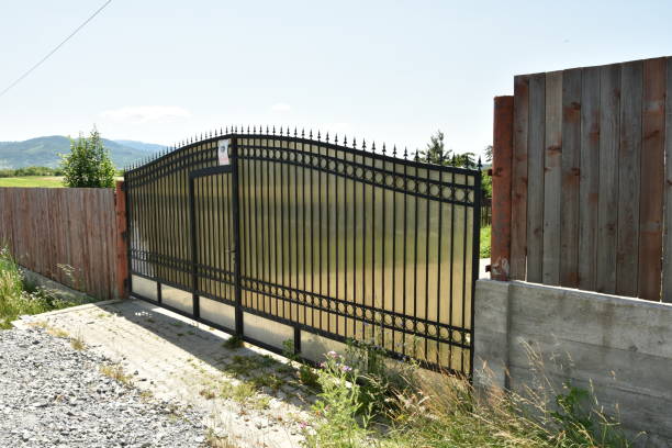 istock Bistrita and wrought iron gate  in Stramba 2019,ROMANIA 1315910650