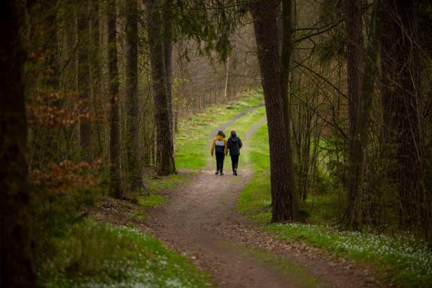 istock A walk in the spring in the forest 1315911675