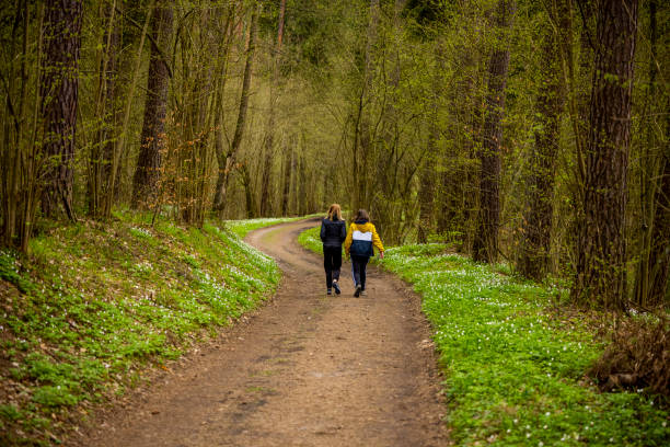 istock A walk in the spring in the forest 1315911746