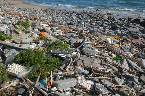istock Marine sea ecosystem contaminated with plastic debris pollution,environmental waste 1315911883