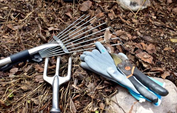 istock Gardening landscape tools and equipment for spring yard clean-up 1315912143