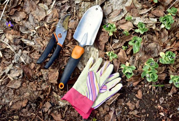 istock Gardening landscape tools and equipment for spring yard clean-up 1315912167
