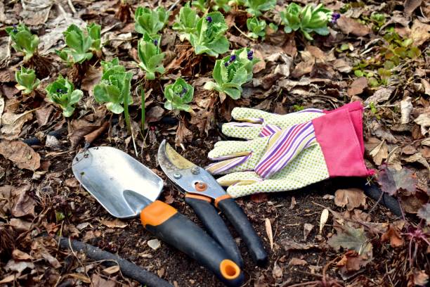 Gardening landscape tools and equipment for spring yard clean-up