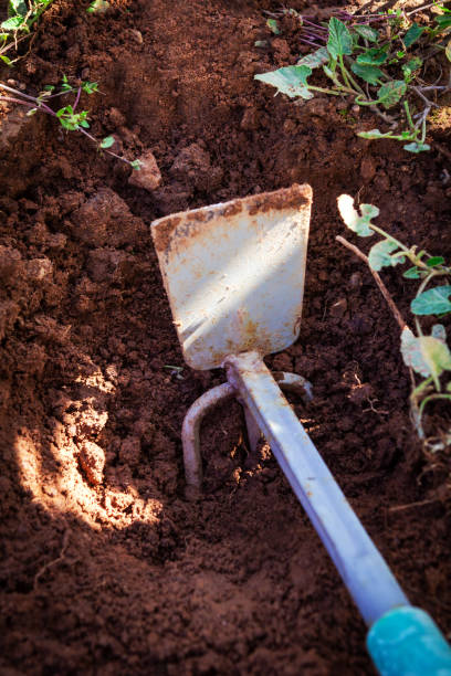 istock Close-up of soil and gardening tool. 1315913988