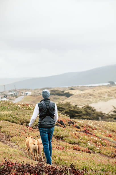 istock Man, son and dogs exploring Dillon Beach 1315921607