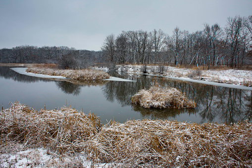 Winter river in the forest with snow in United States, Illinois, Oak Park