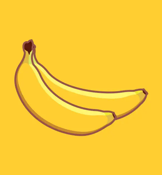Vector illustration of Vector bunch of bananas of different shapes. Two ripe yellow bananas drawn in a flat design.