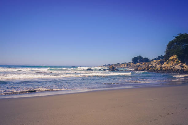 istock Northern California Beach 1315929868