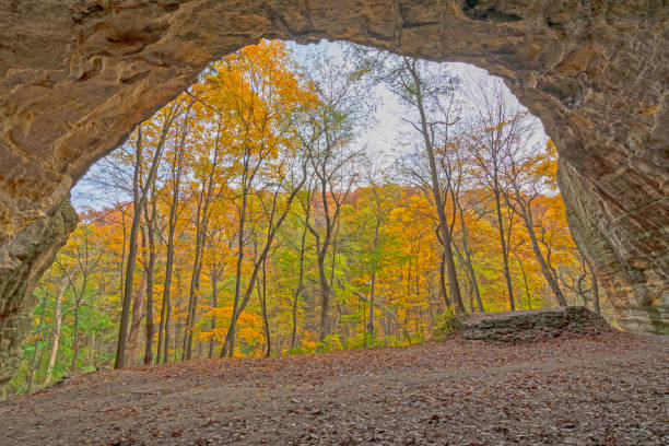 istock Looking at the Fall Colors From a Cave 1315930722