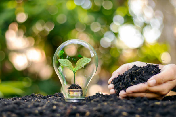 istock A tree growing on a silver coin in a light bulb energy saving and environmental concept on earth day. 1315930723