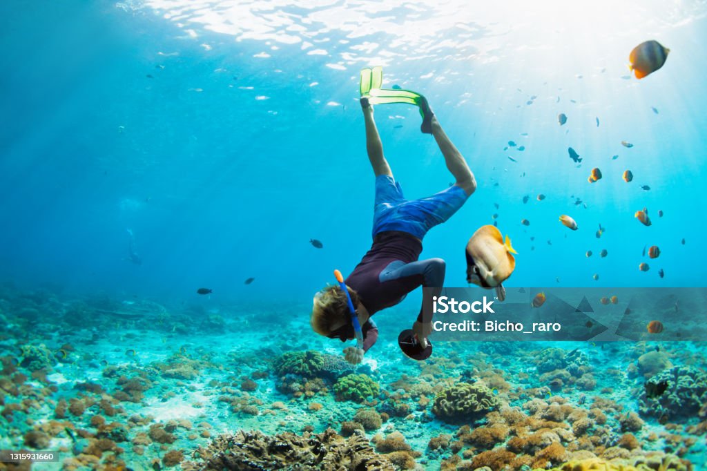 Young man in snorkelling mask dive underwater Happy family vacation. Man in snorkeling mask with camera dive underwater with tropical fishes in coral reef sea pool. Travel lifestyle, water sport outdoor adventure, swimming on summer beach holiday. Snorkeling Stock Photo