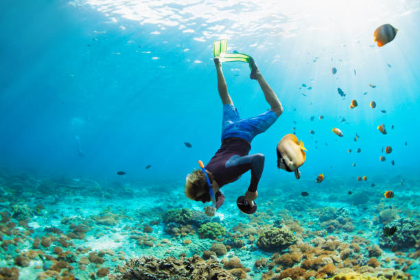 Young man in snorkelling mask dive underwater Happy family vacation. Man in snorkeling mask with camera dive underwater with tropical fishes in coral reef sea pool. Travel lifestyle, water sport outdoor adventure, swimming on summer beach holiday. snorkeling photos stock pictures, royalty-free photos & images