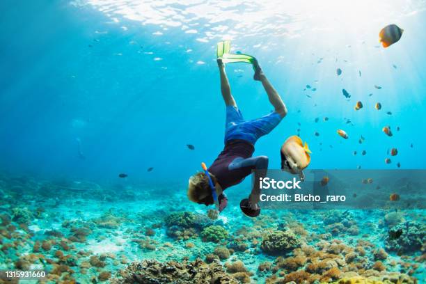 Young Man In Snorkelling Mask Dive Underwater Stock Photo - Download Image Now - Snorkeling, Snorkel, Phuket