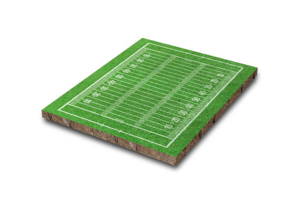 istock American football field with line pattern isolated on white background. 3D rendering 1315935930