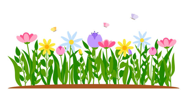 illustrazioni stock, clip art, cartoni animati e icone di tendenza di bordo primaverile fiore tulipano cartone animato erba vettoriale - gardening flower backgrounds beauty in nature