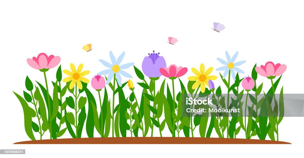 Spring Border Flower Tulip Cartoon Grass Vector Stock Illustration -  Download Image Now - Flower, Gardening, Meadow - iStock
