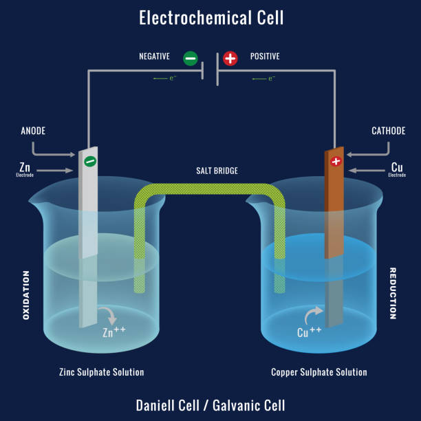ilustrações de stock, clip art, desenhos animados e ícones de electrochemical cell or galvanic cell, the daniell cell - energia reativa