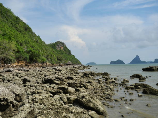 istock Rocky reefs with sand and mud in water phenomenon at low tide 1315950457