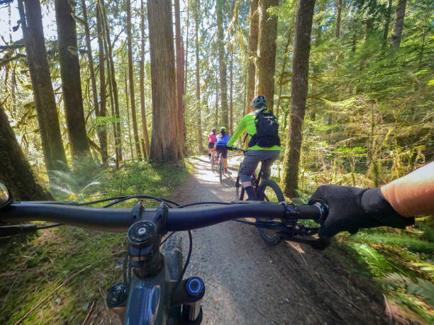 istock Multi-Ethnic Two Generation Family Mountain Biking on Sunlit Forest Trail 1315955324