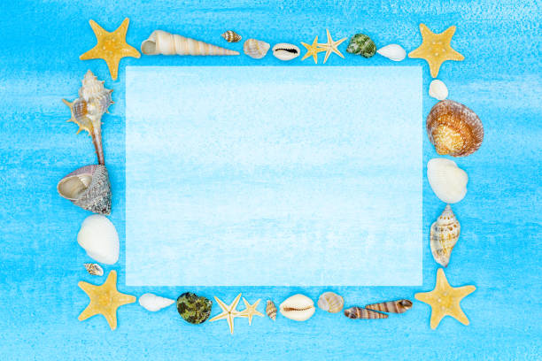 istock Marine mockup. Seashells and starfishes frame. 1315965977