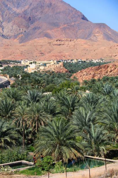 istock Wadi Dayqah Dam in Oman 1315966346