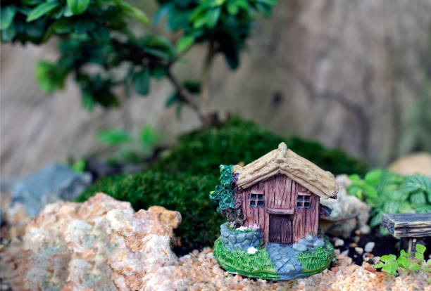 istock Decorative of close up mini garden with small model home on stone 1315968101