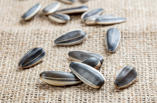 sunflower seeds in group on canvas background