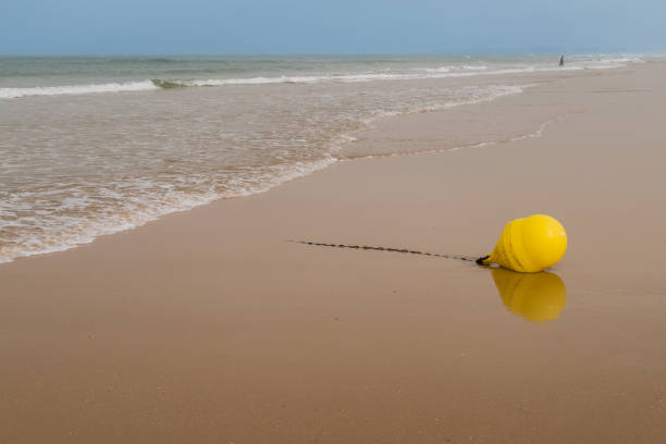 istock Barrosa beach in Chiclana de la Frontera, Cadiz 1315973036