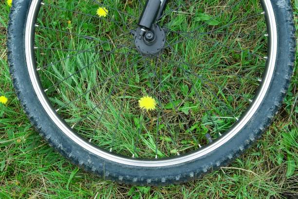 istock wheel of bicycle is a lying on a green grass 1315973040